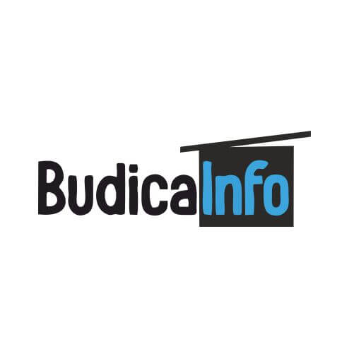 logo_budica_info