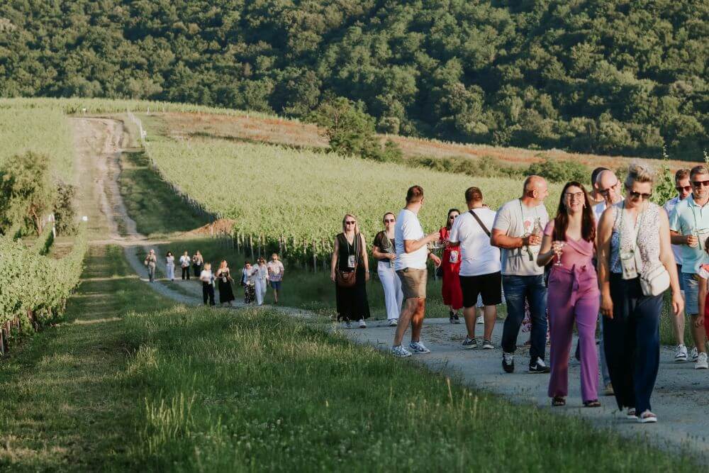 Dani otvorenih vinskih podruma Đakovačkog vinogorja 2026_Mandićevac_Naslovna